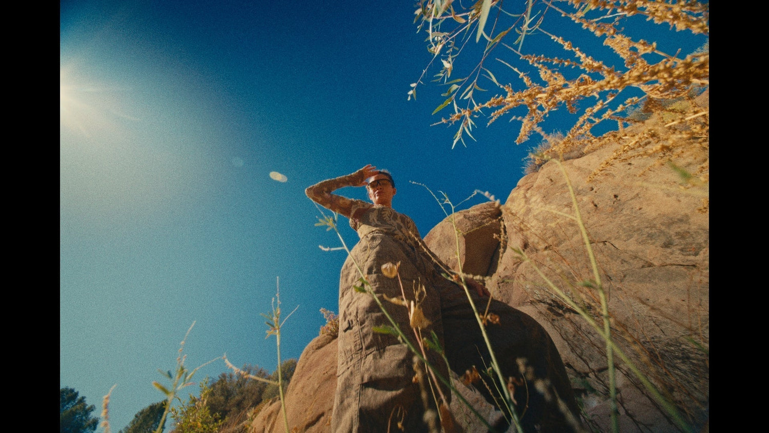 Stimulants vs. Adaptogens: Are You Borrowing Energy or Actually Building It?