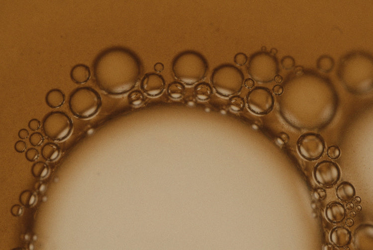 Shilajit: The Ancient Elixir of Life – Fractal Forest