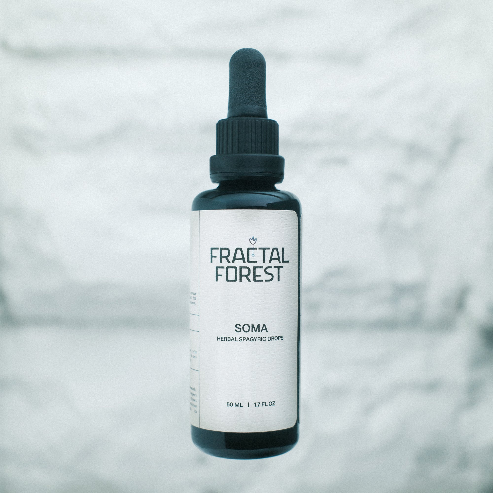 SOMA – Fractal Forest