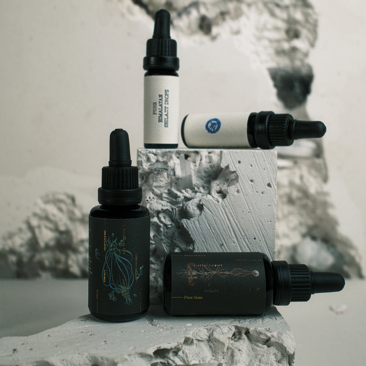 Biohacking Kit 002 | Fractal Forest